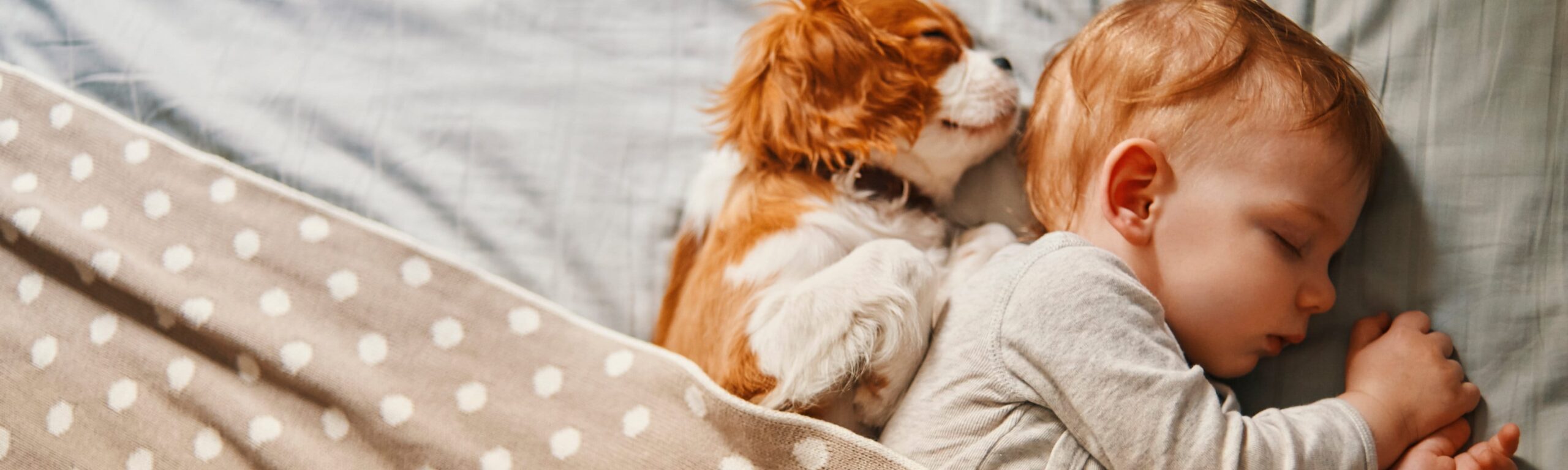 sleeping-baby-and-dog