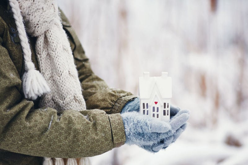 Winter Home in Gloved Hands