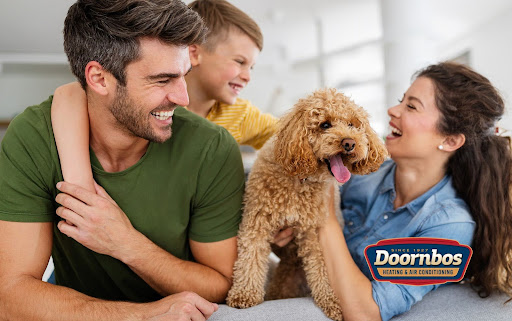 air purifier for your home