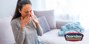 humidifier this winter